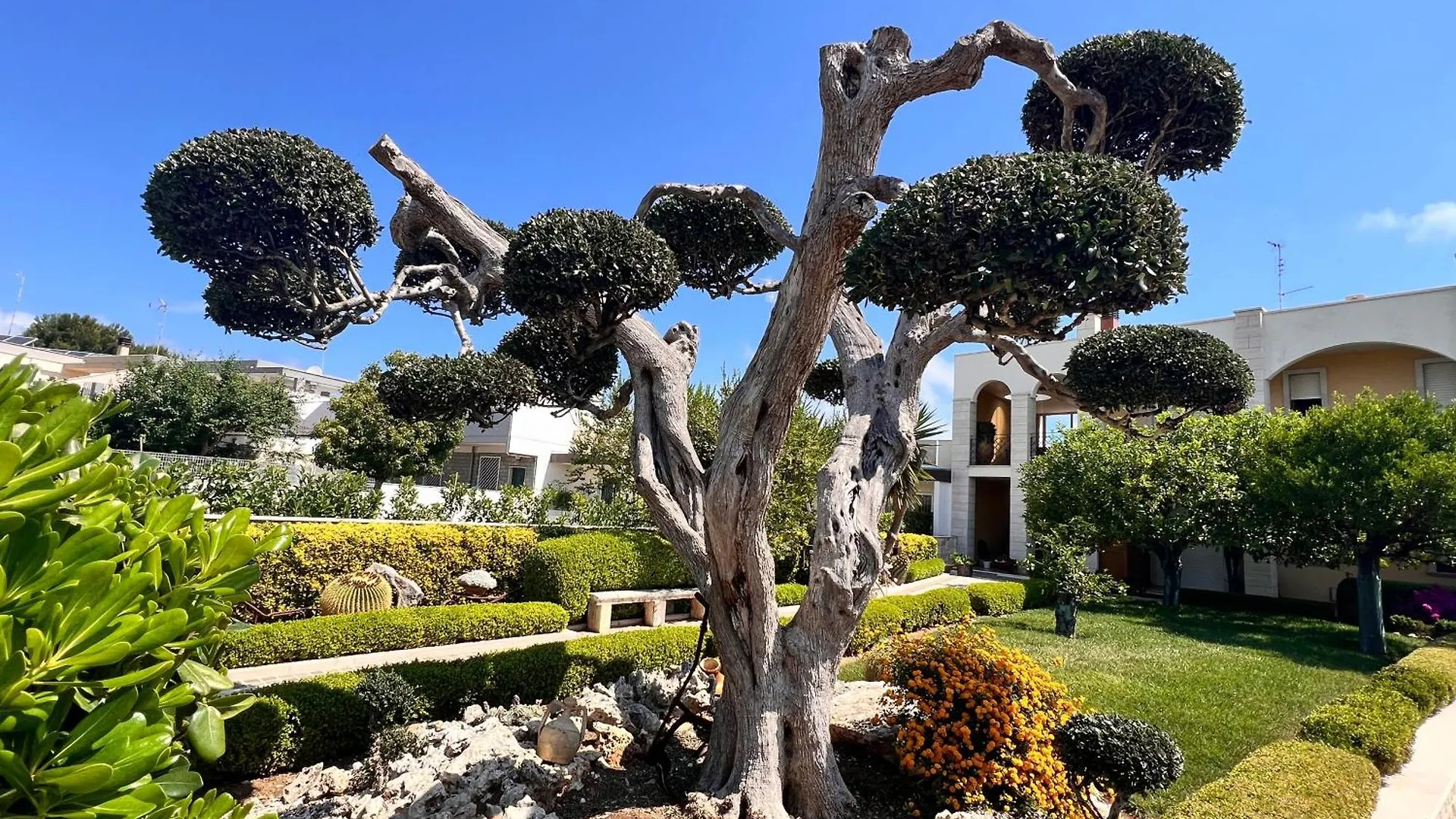B&B La Rosa Blu Bari