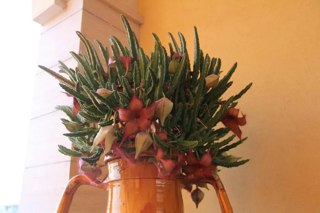 B&B La Rosa Blu Bari